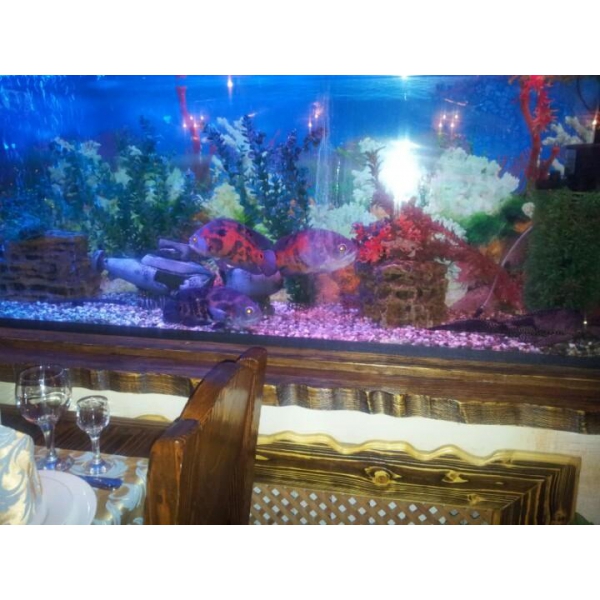 Ресторанный сервис бронирования столиков menu-rest.com - Интерьер ресторана "Водопад"