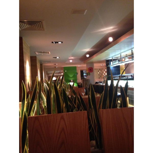 Ресторанный сервис бронирования столиков menu-rest.com - Интерьер ресторана "Yoko"