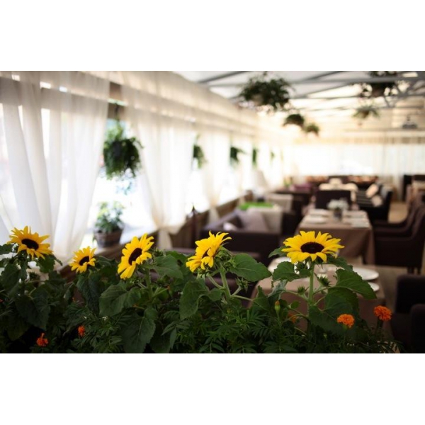 Ресторанный сервис бронирования столиков menu-rest.com - Интерьер ресторана "Гюго"