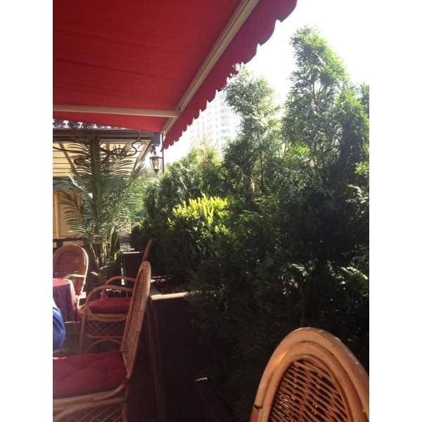 Ресторанный сервис бронирования столиков menu-rest.com - Интерьер ресторана "Автограф"