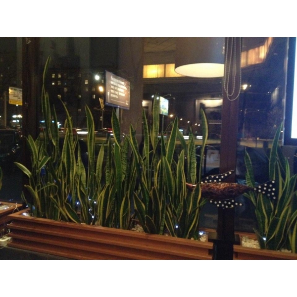 Ресторанный сервис бронирования столиков menu-rest.com - Интерьер ресторана "Gastronomica Fish"