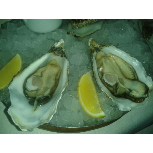 Ресторанный сервис бронирования столиков menu-rest.com - Интерьер ресторана "Gastronomica Fish"