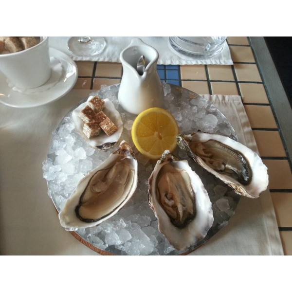 Ресторанный сервис бронирования столиков menu-rest.com - Интерьер ресторана "Gastronomica Fish"