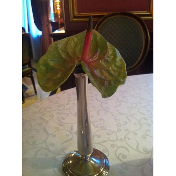 Ресторанный сервис бронирования столиков menu-rest.com - Интерьер ресторана "Савой"