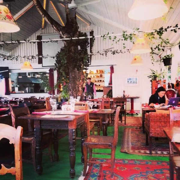 Ресторанный сервис бронирования столиков menu-rest.com - Интерьер ресторана "Веранда у Дачи"