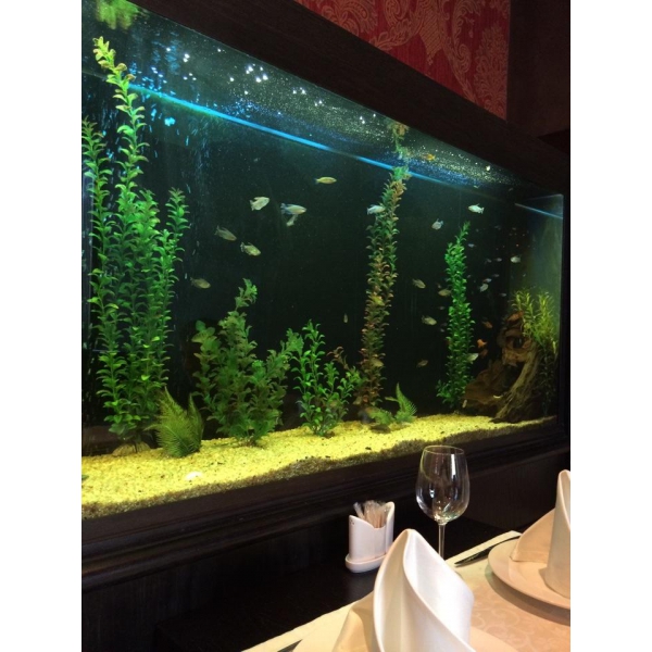 Ресторанный сервис бронирования столиков menu-rest.com - Интерьер ресторана "ЕВА"