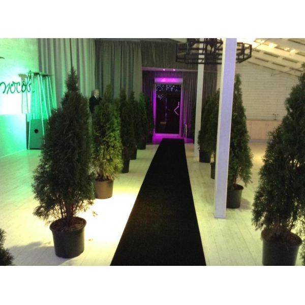 Ресторанный сервис бронирования столиков menu-rest.com - Интерьер ресторана "Брюсофф"