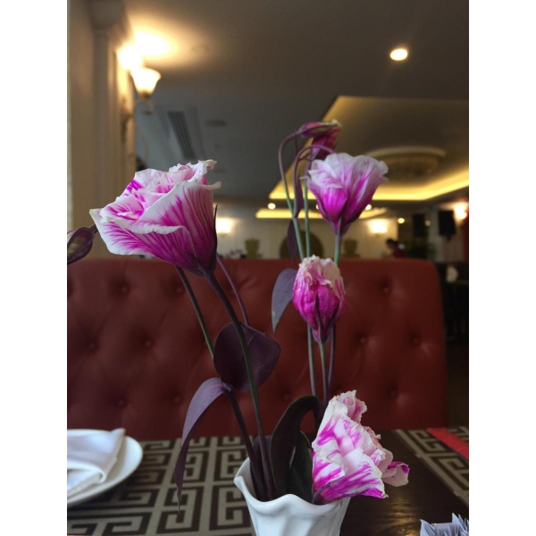 Ресторанный сервис бронирования столиков menu-rest.com - Интерьер ресторана "Viet Soul"