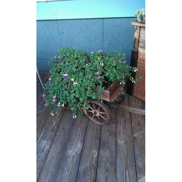 Ресторанный сервис бронирования столиков menu-rest.com - Интерьер ресторана "Парадиз"