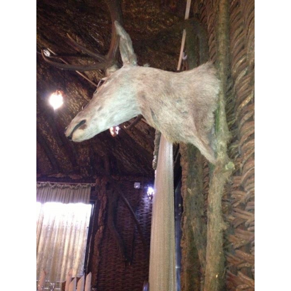 Ресторанный сервис бронирования столиков menu-rest.com - Интерьер ресторана "Мой двор"