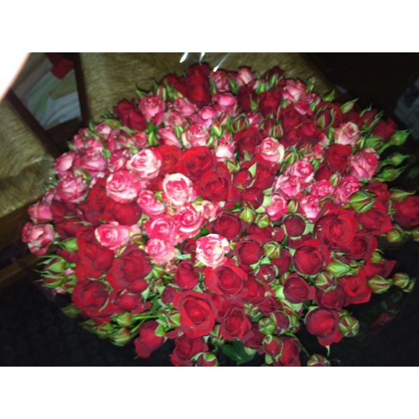 Ресторанный сервис бронирования столиков menu-rest.com - Интерьер ресторана "Труффальдино"