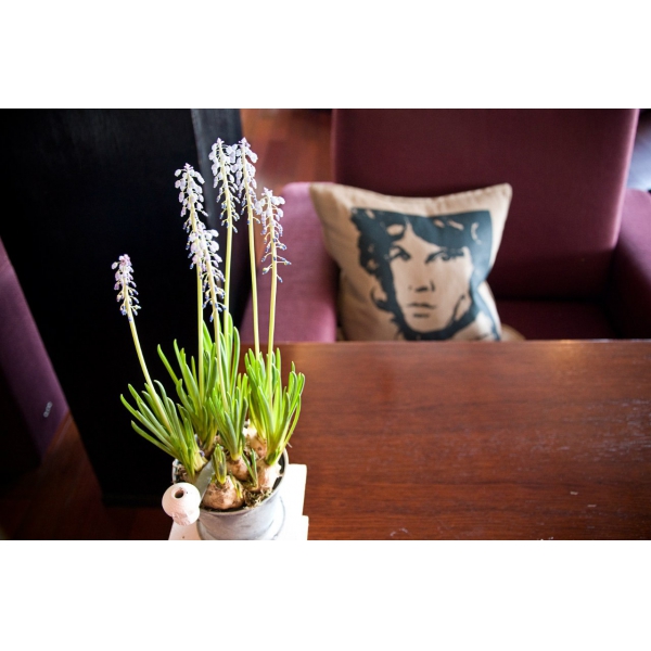 Ресторанный сервис бронирования столиков menu-rest.com - Интерьер ресторана "TUTTI I GIORNI"