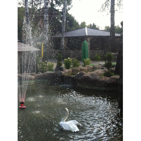 Ресторанный сервис бронирования столиков menu-rest.com - Интерьер ресторана "Оазис в Лесу"