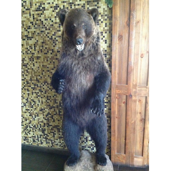 Ресторанный сервис бронирования столиков menu-rest.com - Интерьер ресторана "Русская охота"