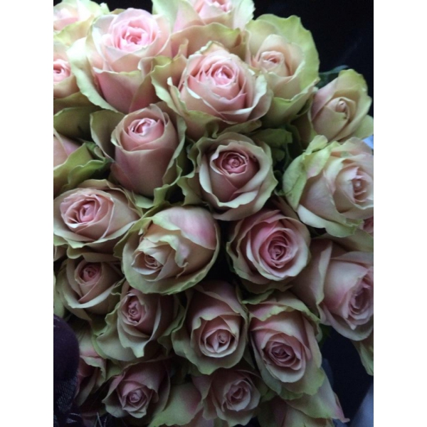 Ресторанный сервис бронирования столиков menu-rest.com - Интерьер ресторана "Марио Жуковка"