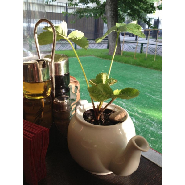 Ресторанный сервис бронирования столиков menu-rest.com - Интерьер ресторана "Фронт"