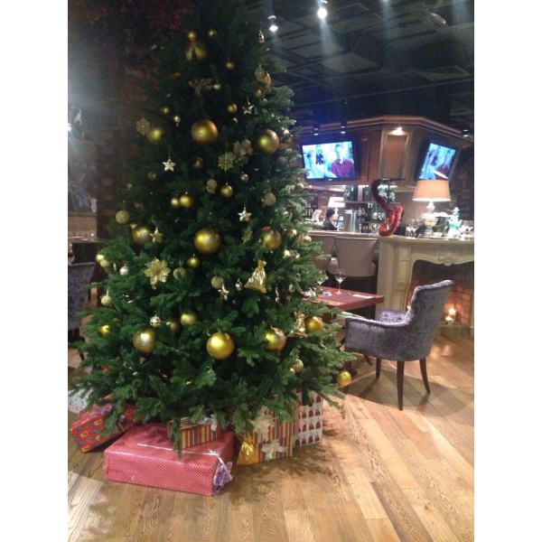 Ресторанный сервис бронирования столиков menu-rest.com - Интерьер ресторана "Quattro Camini"