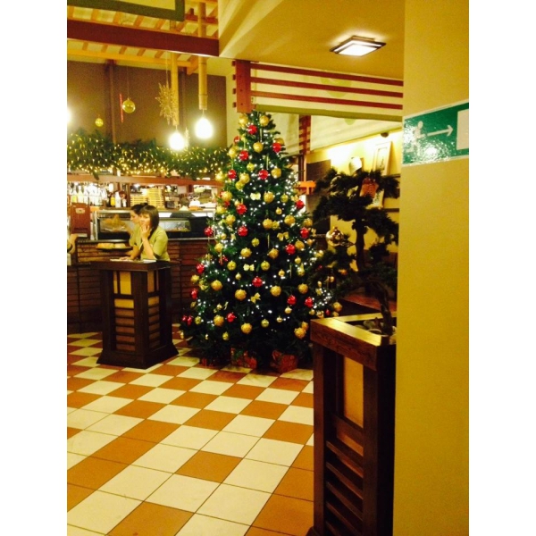 Ресторанный сервис бронирования столиков menu-rest.com - Интерьер ресторана "Солнце Италии"