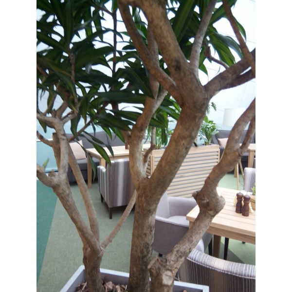 Ресторанный сервис бронирования столиков menu-rest.com - Интерьер ресторана "ISOLA"