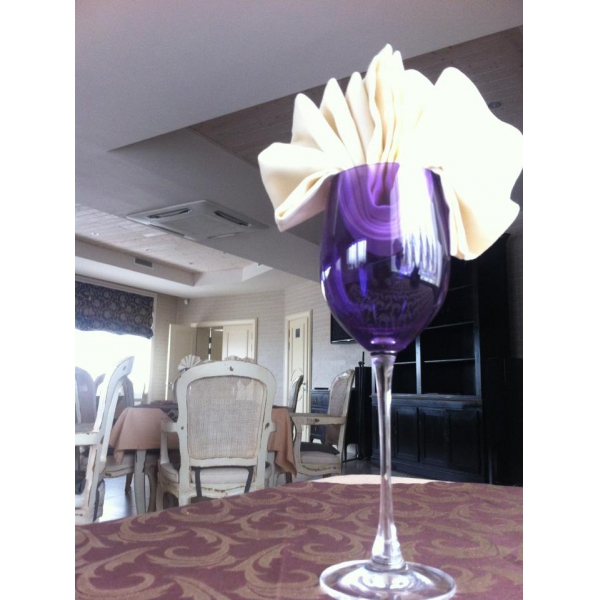 Ресторанный сервис бронирования столиков menu-rest.com - Интерьер ресторана "Альтона"