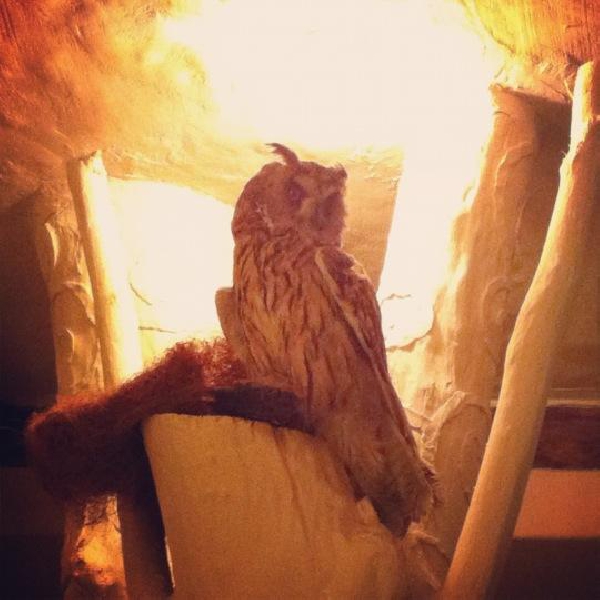 Ресторанный сервис бронирования столиков menu-rest.com - Интерьер ресторана "Лесная поляна"