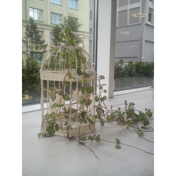 Ресторанный сервис бронирования столиков menu-rest.com - Интерьер ресторана "Буржуа"