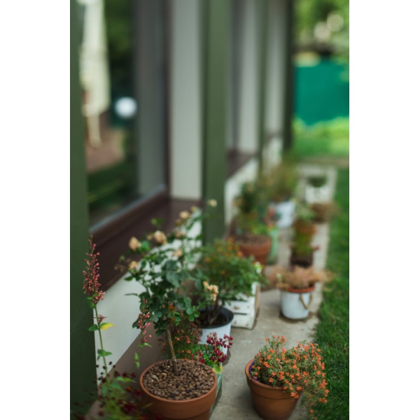 Ресторанный сервис бронирования столиков menu-rest.com - Интерьер ресторана "Wright Brothers"