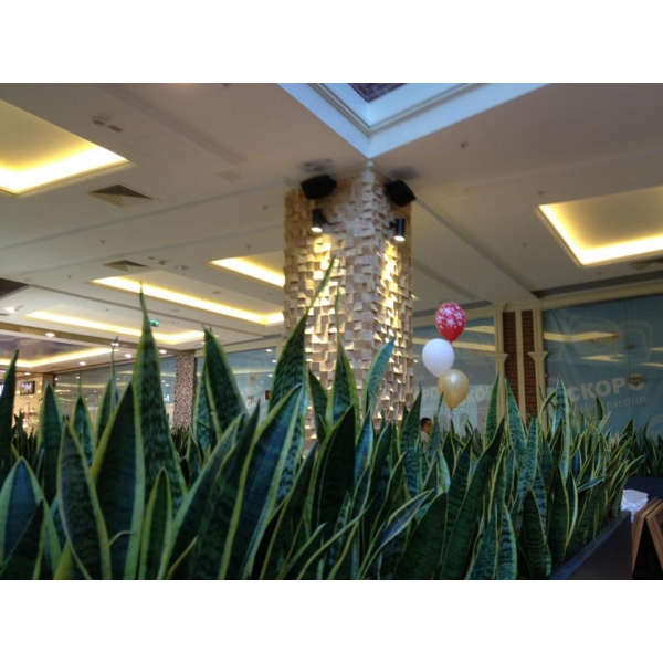 Ресторанный сервис бронирования столиков menu-rest.com - Интерьер ресторана "Midori"