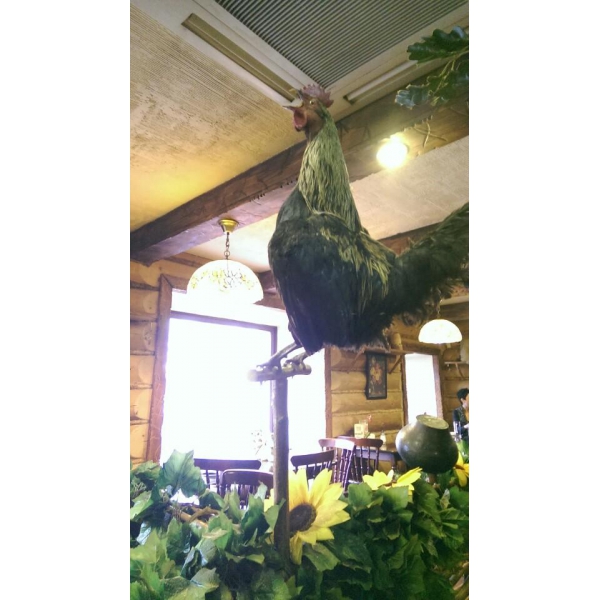 Ресторанный сервис бронирования столиков menu-rest.com - Интерьер ресторана "Ёлки-Палки"