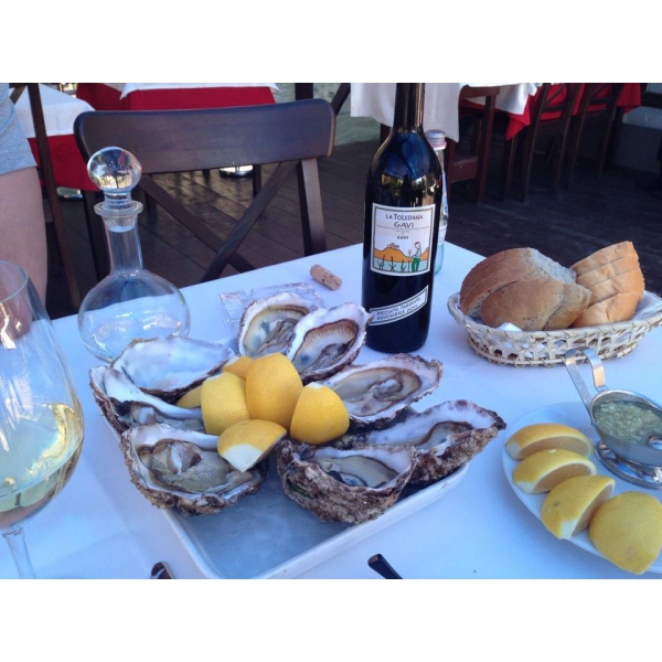 Ресторанный сервис бронирования столиков menu-rest.com - Интерьер ресторана "Porto Maltese"