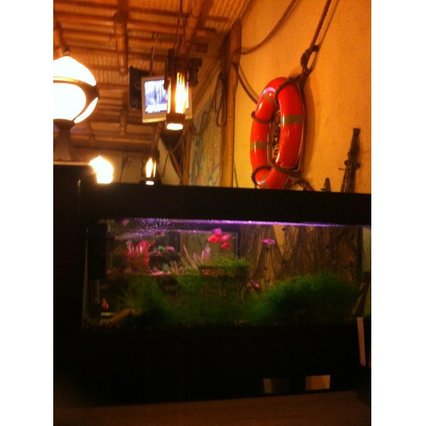 Ресторанный сервис бронирования столиков menu-rest.com - Интерьер ресторана "Адрес счастья"