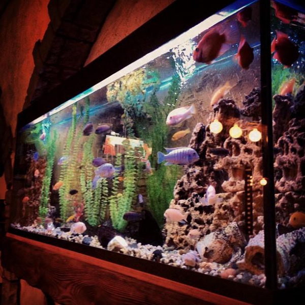 Ресторанный сервис бронирования столиков menu-rest.com - Интерьер ресторана "Рио-Грандэ"