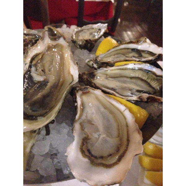 Ресторанный сервис бронирования столиков menu-rest.com - Интерьер ресторана "Porto Maltese"