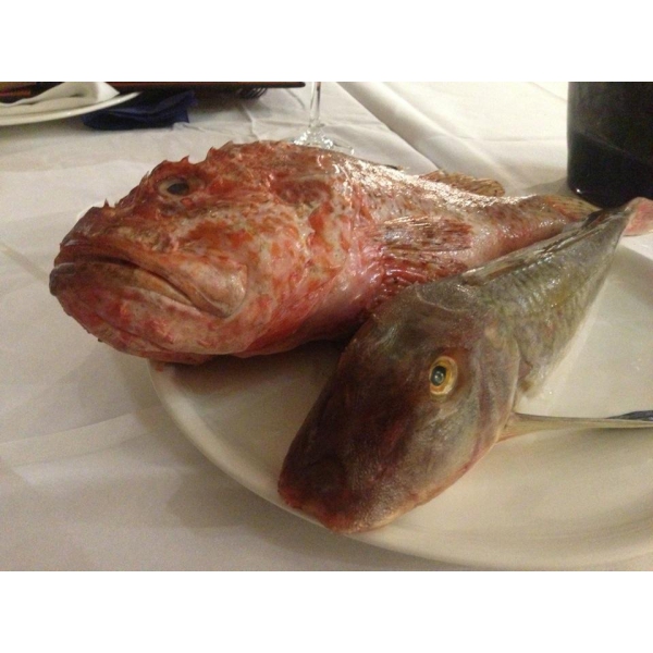 Ресторанный сервис бронирования столиков menu-rest.com - Интерьер ресторана "Porto Maltese"