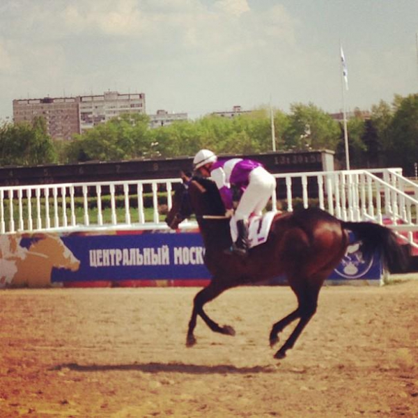 Ресторанный сервис бронирования столиков menu-rest.com - Интерьер ресторана "Ипподром"