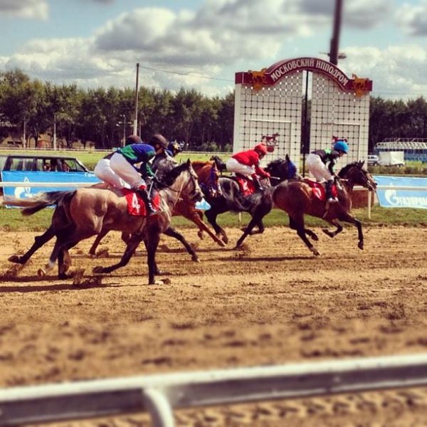 Ресторанный сервис бронирования столиков menu-rest.com - Интерьер ресторана "Ипподром"