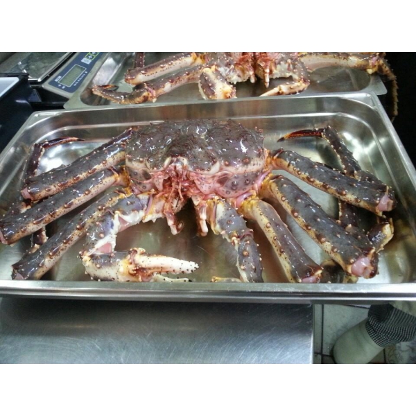 Ресторанный сервис бронирования столиков menu-rest.com - Интерьер ресторана "China-club"