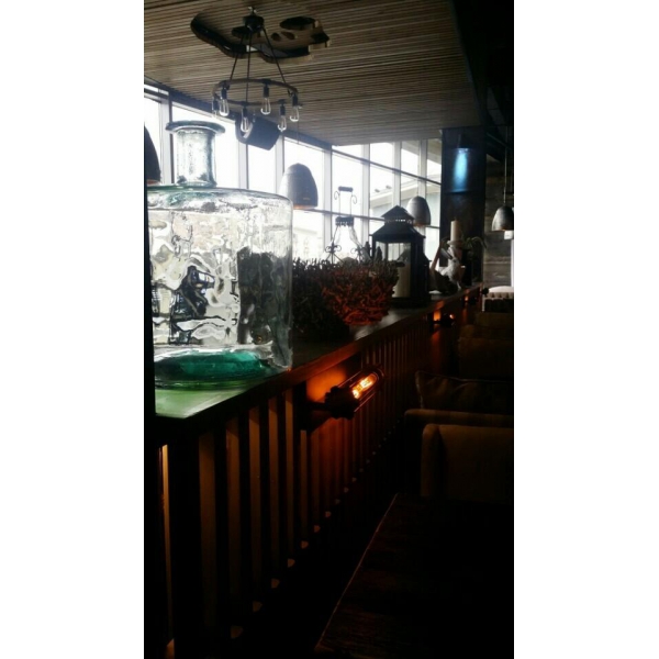 Ресторанный сервис бронирования столиков menu-rest.com - Интерьер ресторана "Дикий"