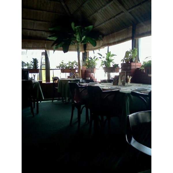 Ресторанный сервис бронирования столиков menu-rest.com - Интерьер ресторана "Тимур"