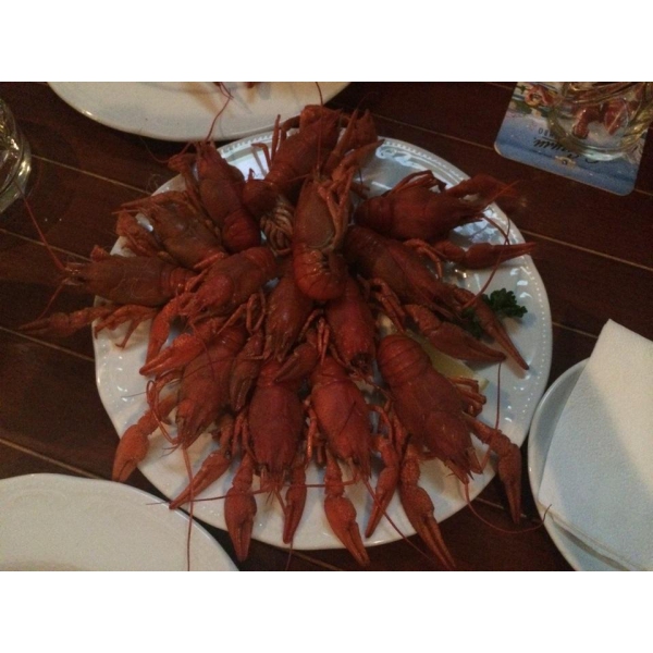 Ресторанный сервис бронирования столиков menu-rest.com - Интерьер ресторана "Отрыв"