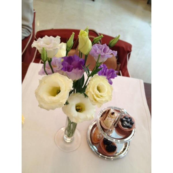 Ресторанный сервис бронирования столиков menu-rest.com - Интерьер ресторана "L`altro Bosco"