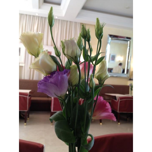 Ресторанный сервис бронирования столиков menu-rest.com - Интерьер ресторана "L`altro Bosco"