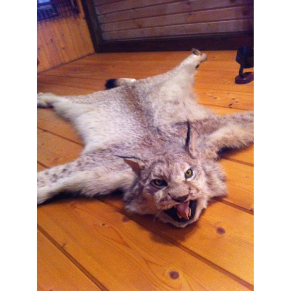 Ресторанный сервис бронирования столиков menu-rest.com - Интерьер ресторана "Вкусная Жизнь"