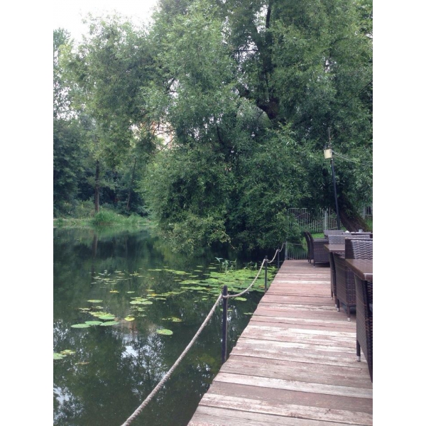 Ресторанный сервис бронирования столиков menu-rest.com - Интерьер ресторана "Premium"