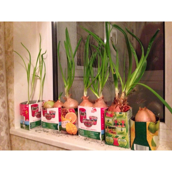 Ресторанный сервис бронирования столиков menu-rest.com - Интерьер ресторана "У Татьяны"