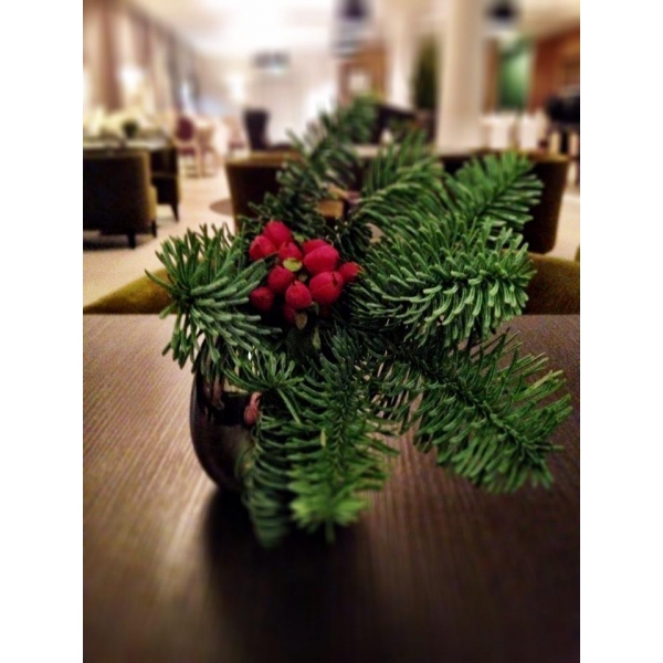 Ресторанный сервис бронирования столиков menu-rest.com - Интерьер ресторана "LA PROMENADE"