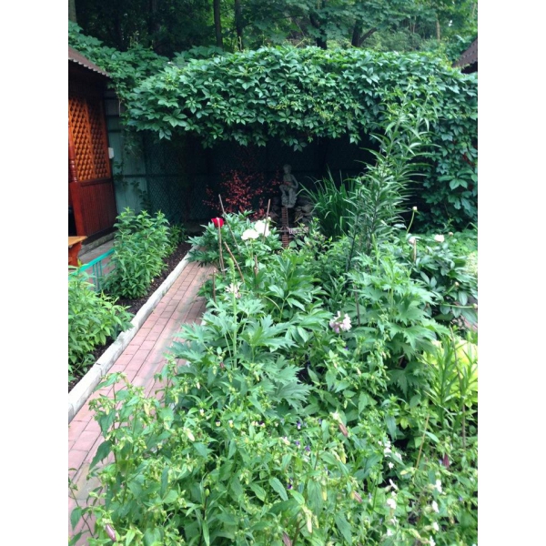 Ресторанный сервис бронирования столиков menu-rest.com - Интерьер ресторана "Райский уголок"