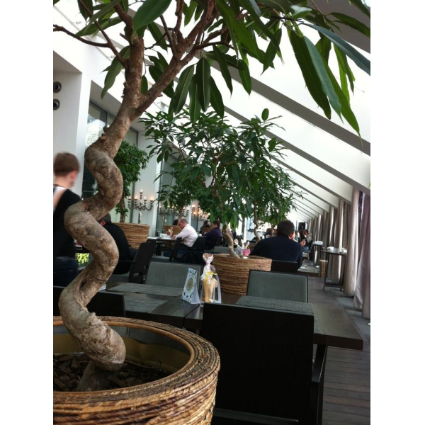 Ресторанный сервис бронирования столиков menu-rest.com - Интерьер ресторана "Have a Nice Day"