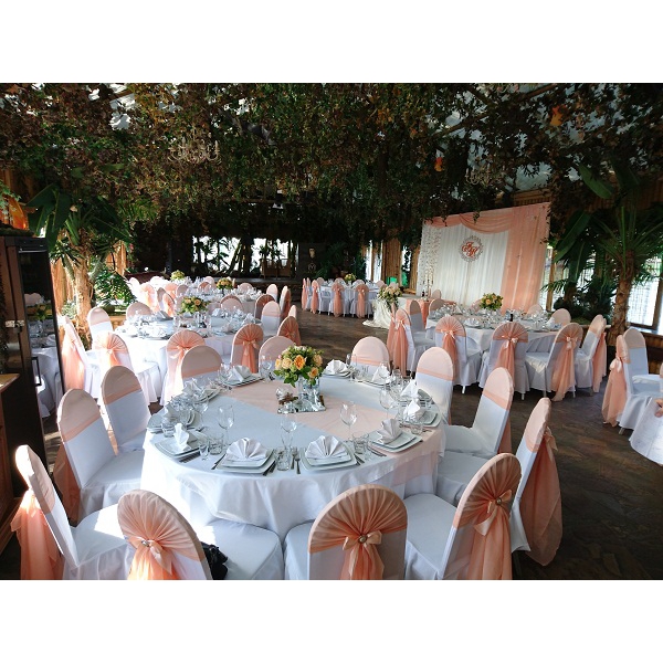 Ресторанный сервис бронирования столиков menu-rest.com - Интерьер ресторана "Малибу"