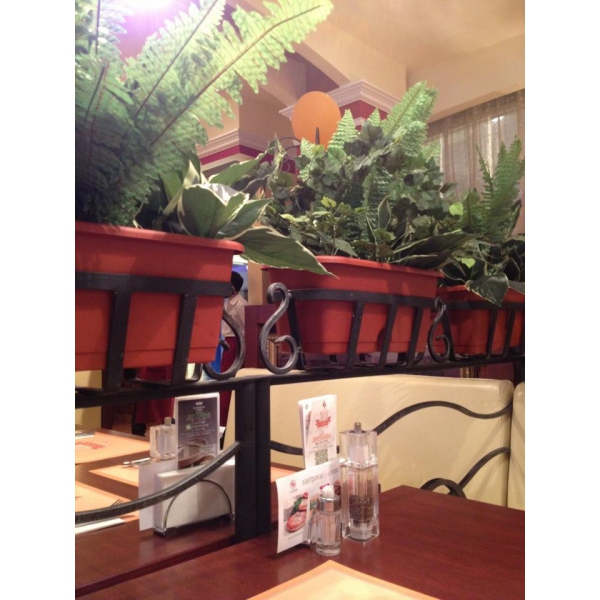 Ресторанный сервис бронирования столиков menu-rest.com - Интерьер ресторана "IL Патио"